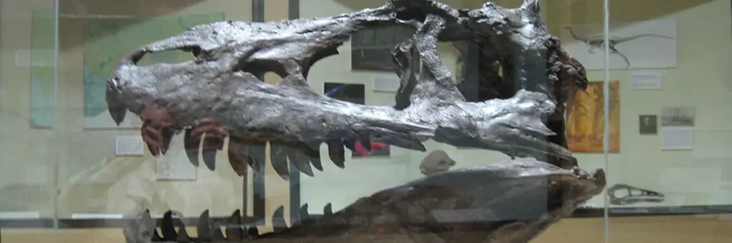 Blaine County Museum Chinook Montana