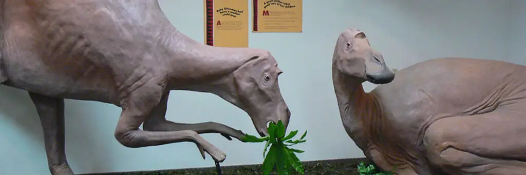 Depot Museum Rudyard Montana