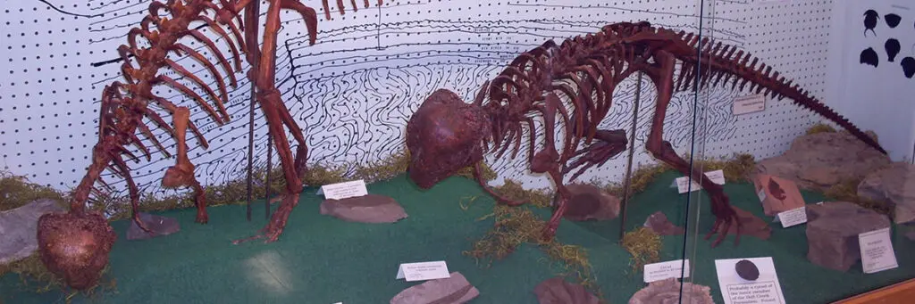 Frontier Gateway Museum Glendive