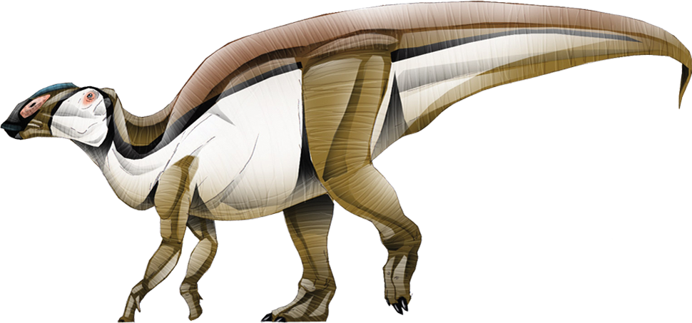 Gryposaurus