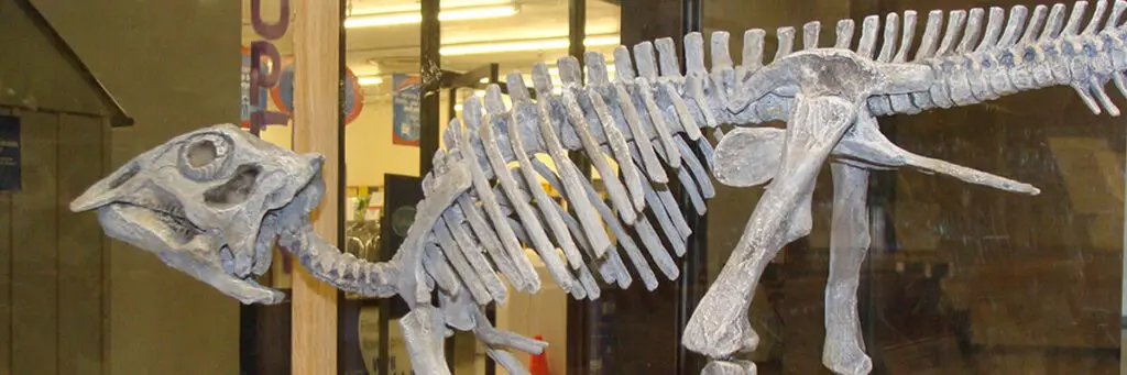 H. Earl Clack Memorial Museum Havre Montana