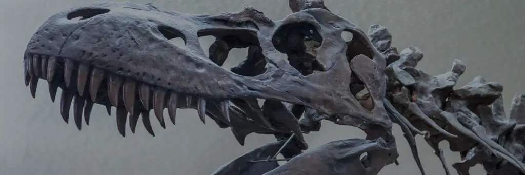 Phillips County Museum Malta Montana