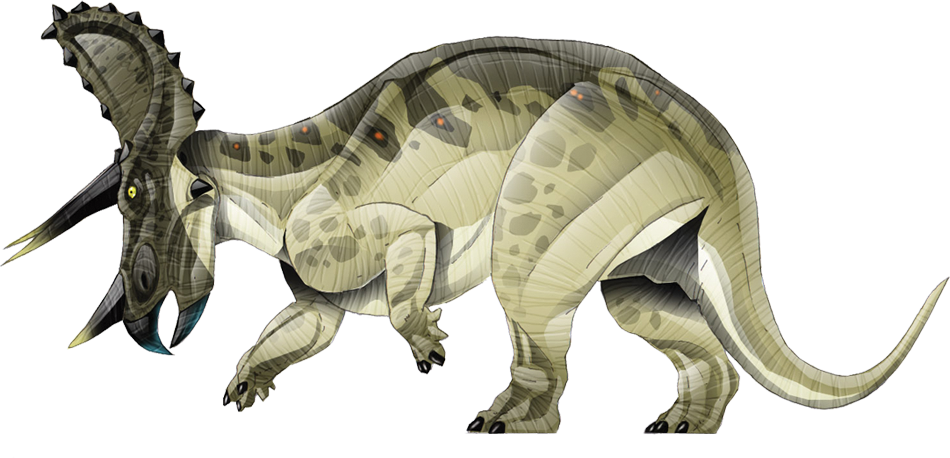 Triceratops