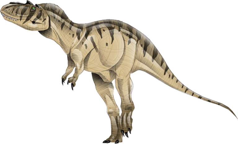 Albertosaurus - The Montana Dinosaur Trail