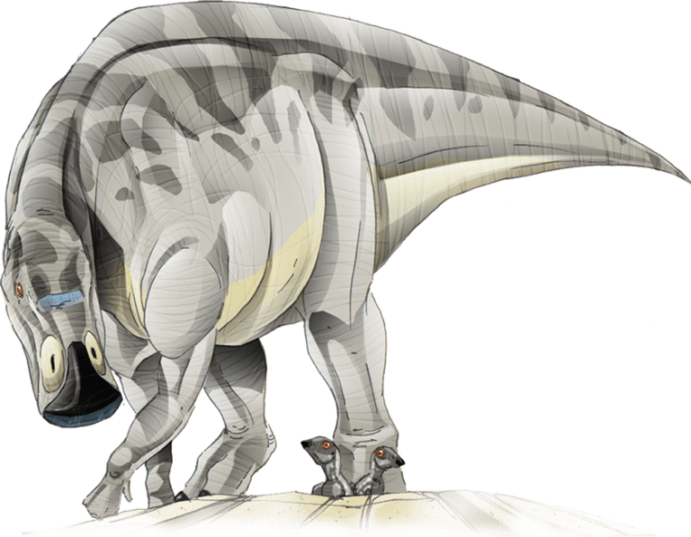 Maiasaura The Montana Dinosaur Trail